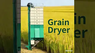 China Batch Type Maize Drying Machine , Automatic Control Maize Drying Equipment supplier