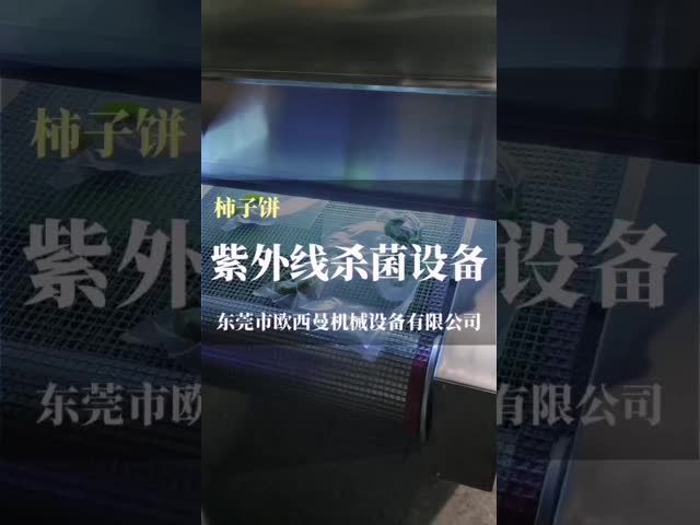 W300mm Light wave UV Irradiation Machine / UV Curing Machine 10m/min