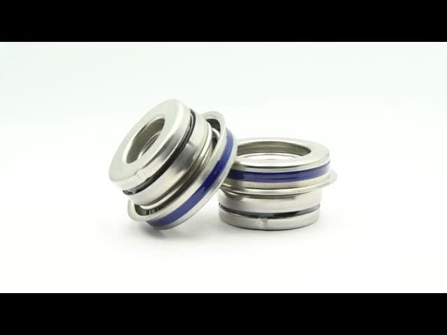 SiC SiC HNBR Auto Mechanical Seal with 16 mm Shaft Diameter for Commercial Vehicles 