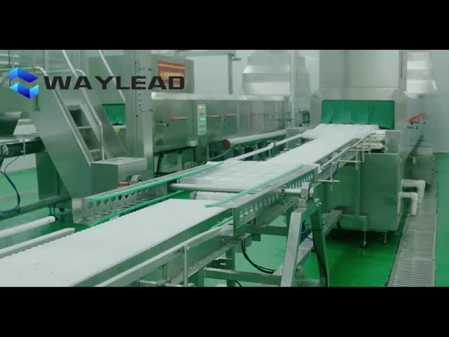 Automatic Plate Placing Robot Freeze Dryer  10 plates per minute