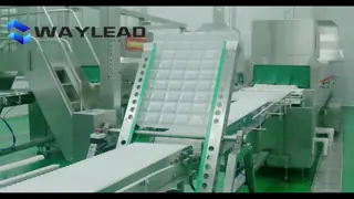 China Multi Function Powder Packaging Machine Automatic Powder Bagging Machine supplier