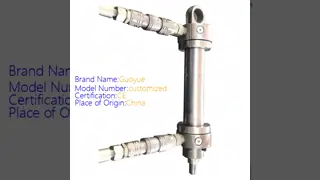 50mm Bore 35-200mm Stroke Double Acting Hydraulic Cylinder High Temp