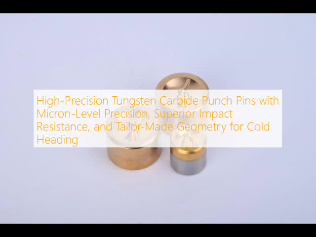 High-Precision Tungsten Carbide Punch Pins with Micron-Level Precision, Superior Impact Resistance, and Tailor-Made Geometry for Cold Heading