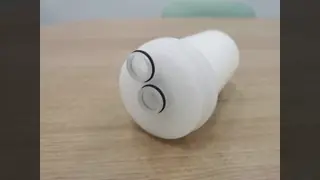 PRI Series-Integrated Saccular Filter Cartridge