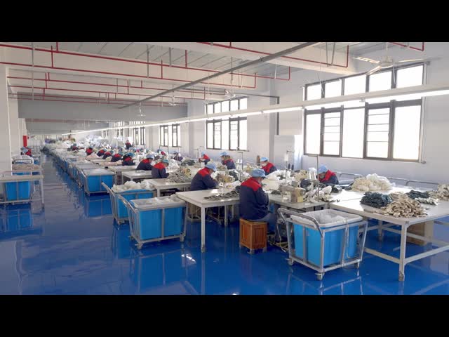 Feather and Down Home Textile Products Mattress Topper Designed with 75 Percent Duck Feather and Down for Restful Sleep