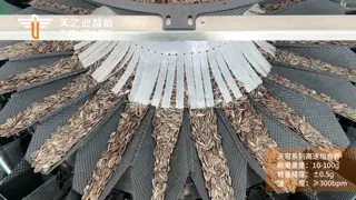 300BPM Hochgeschwindigkeits-Mehrkopf-Wagen-Mehrfunktions-Vorgefertigte Taschenverpackungsmaschinen für Sonnenblumenkerne und Nüsse