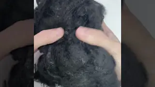 Black 3D*65mm Polypropylene Staple Fiber with Acid and Alkali Corrosion Resistance and Waterproof Wear-Resistant Properties