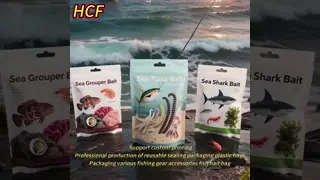 Customized Logo Zipper Bag Custom Printed Transparent 3 Side Sealing Reusable Plastic Packaging Bag for Fishing Lure Bait Pouch