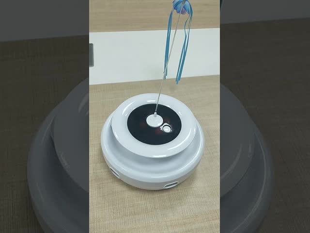 OEM Interactive Cat Puppy Dog Pet Toys Puzzle For Brain Mental Stimulation