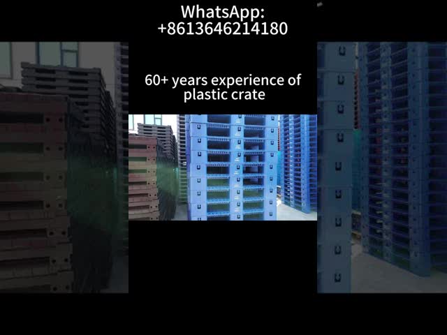 Proper Euro Pallet Plastic Pallet with Guaranteed and 1 Ton Dynamic Load from Supplie