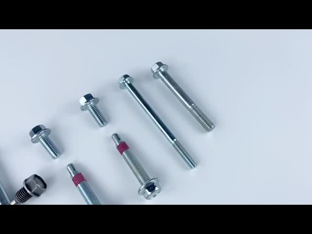 M10 M7 304 SS A2-70  SUS304 METAL BOLT Carriage Bolt Pickled & Passivated
