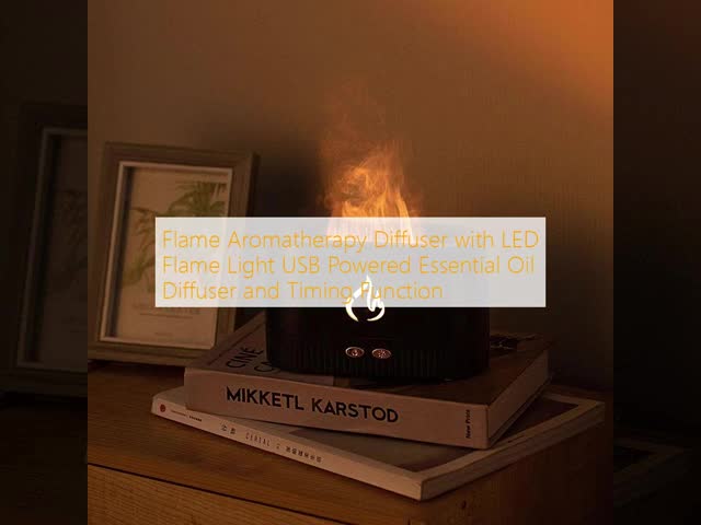 Essential Oil Flame Aromatherapy Diffuser USB Powered With LED Flame Light OEM Size
