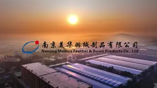 Meihua company  introduction for 2 mins in Chinese
