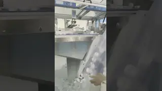 China Vision Counting Packing Machine Precise Bottle Cap Packaging Solution supplier