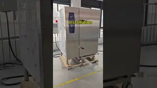 Electric Push-in Steamer