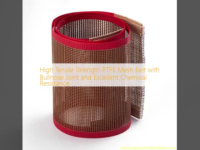 High Tensile Strength PTFE Mesh Belt with Bullnose Joint and Excellent Chemical Resistance