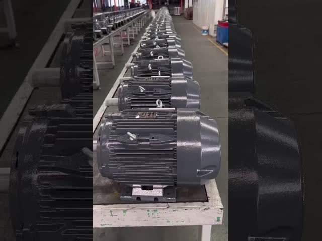 315kW Gost Motor Three Phase AC Asynchronous Induction Electric Motor B3 Mounting