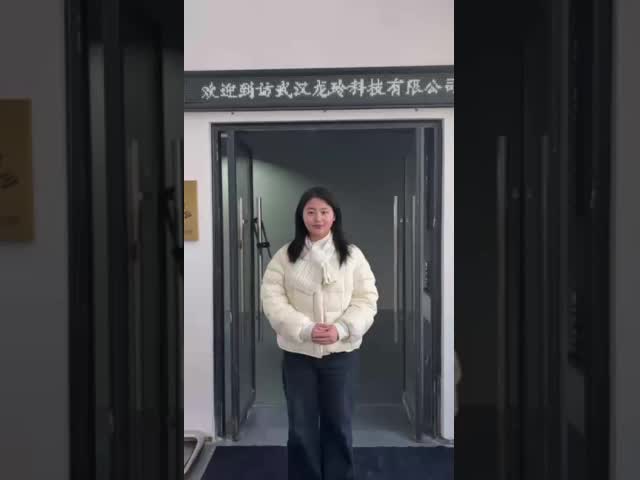 WuHan longling servo motor factory