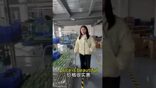 WuHan longling servo motor factory