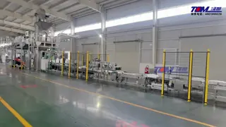 25kg Automatic Powder Packaging Line to Finished Bags