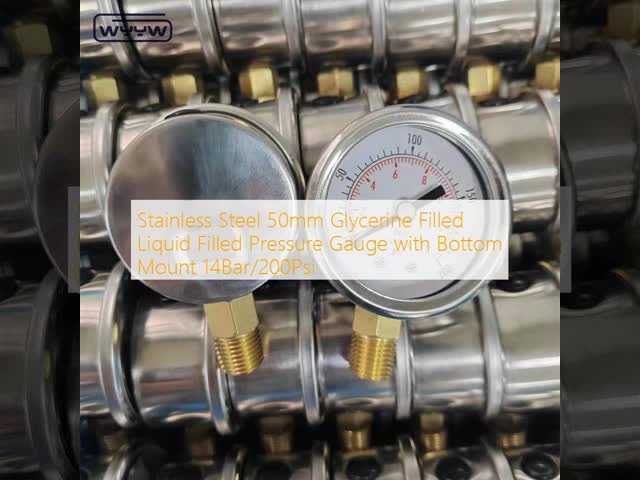 Stainless Steel 50mm Glycerine Filled Liquid Filled Pressure Gauge with Bottom Mount 14Bar/200Psi