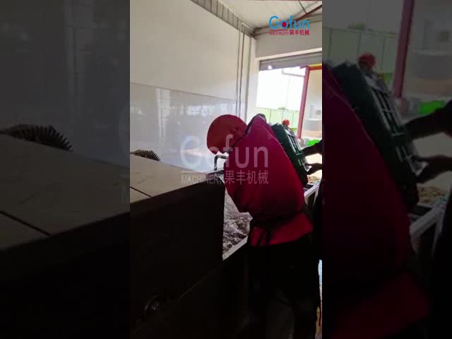 Large-scale mango juice processing line machines made in China