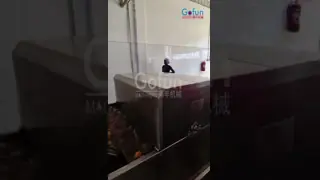 Large-scale mango juice processing line machines made in China