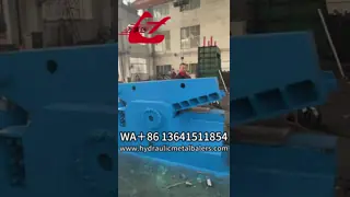 Q43-2500 Hydraulic Alligator Scrap Metal Shear with 2500 kN Cutting Force and 1000 mm Blade Length for Heavy Scrap Processing