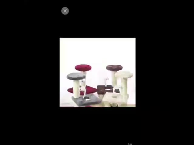 Anti Tipping Pet Cat Climbing Equipment For Physical Exercise & Fitness 15kg