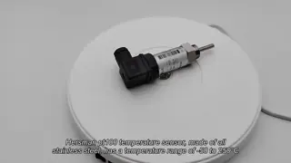 Hersman pt100 temperature sensor