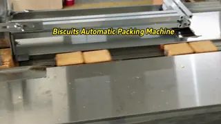 220v Biscuit Pillow Packaging Machine Continuous Packer Flow