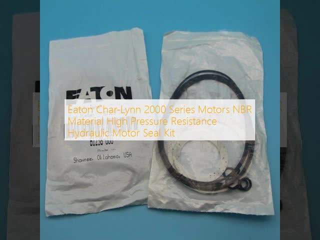 Eaton Char-Lynn 2000 Series Motors NBR Material High Pressure Resistance Hydraulic Motor Seal Kit