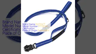 Adjustable Tactical Dog Leash with Shock-Absorbing Bungee Reflective for Large Dogs