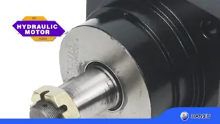 BMK2-315-WE-T4-SU Hydraulic Gerolor Motor Assembly, 315 Ml/r, 1.25'' Tapper Shaft With Wheel Mounting