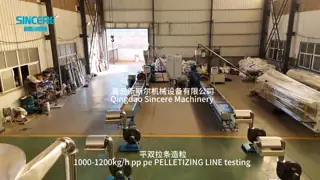 Plastic PP PE HDPE LDPE LLDPE ABS PS PMMA PC PVC Pelletizing Line