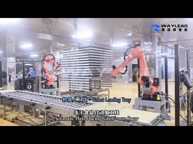 High-Efficiency Automatic Plate Placing Robot Customized for Freeze Dryer Production Lines