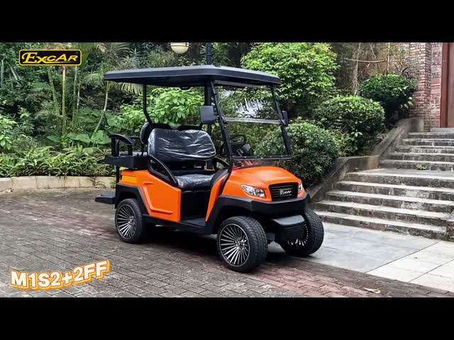 48V Electric Golf Buggy with Red/Blue Strobe Light With Trojan Battery