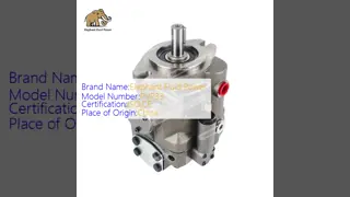 OEM-kwaliteit PVP33 Parker variabele volume zuigerpomp met gietijzeren behuizing en snelle responstijden