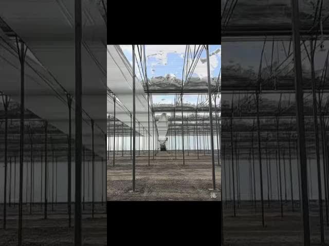 Custom Polycarbonate Greenhouses For Organic Farming And Commercial Use