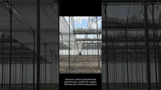 Custom Polycarbonate Greenhouses For Organic Farming And Commercial Use