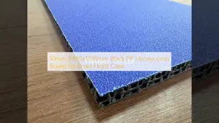 10mm PP Honeycomb Board for Flight Cases