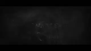 2 X 450W Professional DJ Power Amplifier