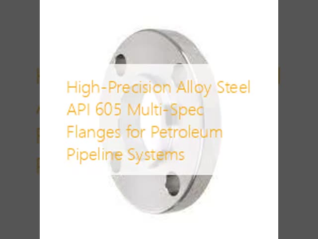 High-Precision Alloy Steel API 605 Multi-Spec Flanges for Petroleum Pipeline Systems