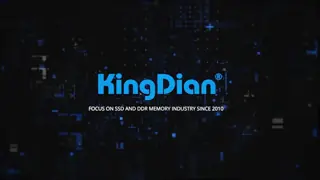 KingDian SSD & DDR Memory