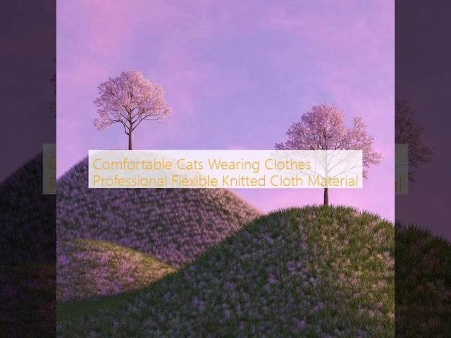 Comfortable Cats Wearing Clothes Professional Flexible Knitted Cloth Material