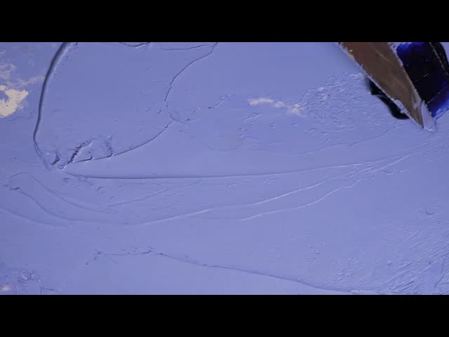 Sweet Custom Pet Collars / Flower Cat Collar Personalized Customized Logo