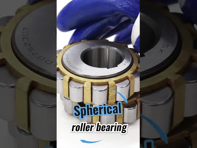 500752307 Double Row Cylindrical Roller Bearing | Automotive Gearbox Bearing