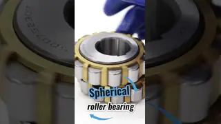 500752307 Double Row Cylindrical Roller Bearing | Automotive Gearbox Bearing