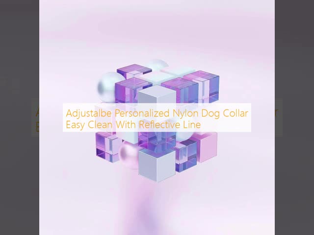 Adjustalbe Personalized Nylon Dog Collar Easy Clean With Reflective Line