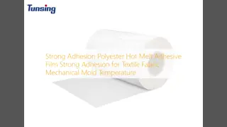 Strong Adhesion Polyester Hot Melt Adhesive Film Strong Adhesion for Textile Fabric Mechanical Mold Temperature